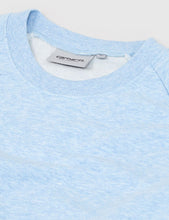 Load image into Gallery viewer, Carhartt Holbrook Sweatshirt - Glacier Blue Heather