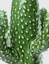 Load image into Gallery viewer, Serax Cactus Small - Green
