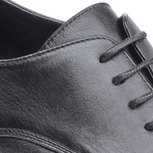 Load image into Gallery viewer, Pro-Tec Ankle Brace
